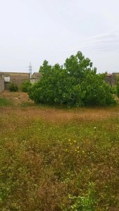 image 378161