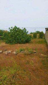 image 378161