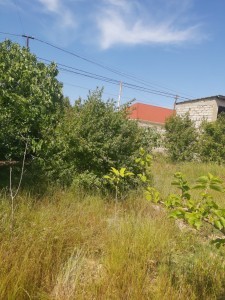 image 378161