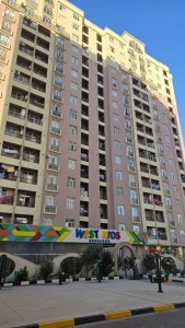 image 378165
