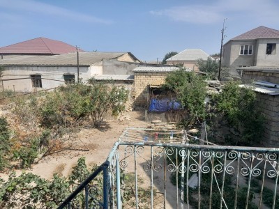 image 378169