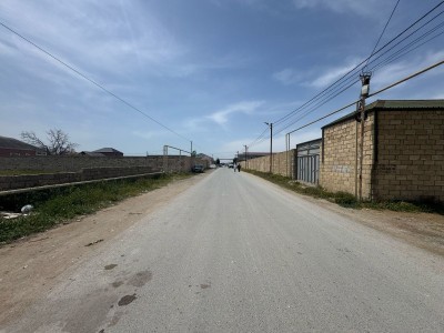 image 378171