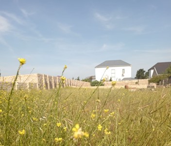 image 378173