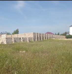 image 378173