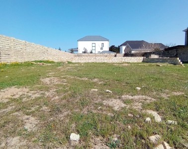 image 378173