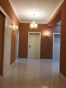 image 378175