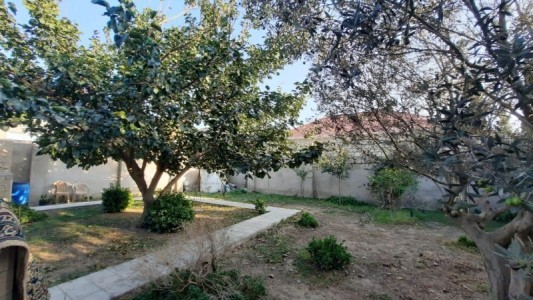 image 378178