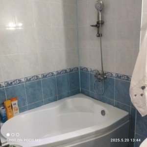 image 378180