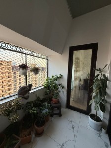 image 378185