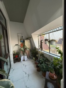 image 378185