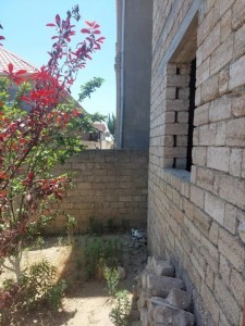 image 378189