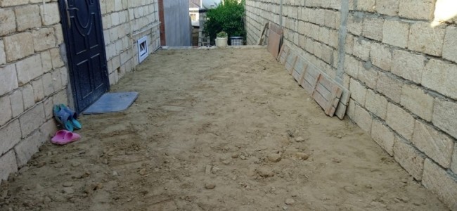 image 378199