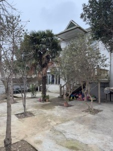 image 378201