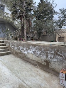 image 378201