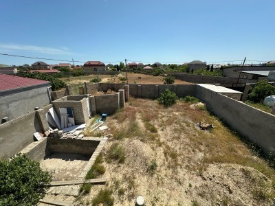 image 378232