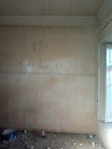 image 378239