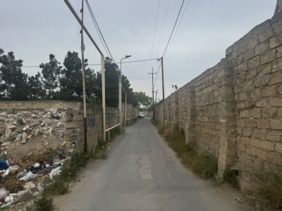 image 378241