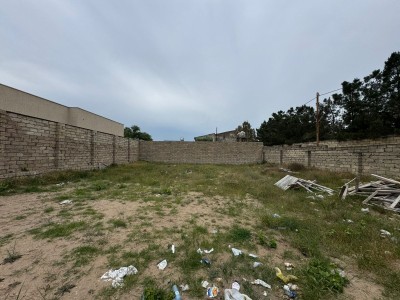 image 378241