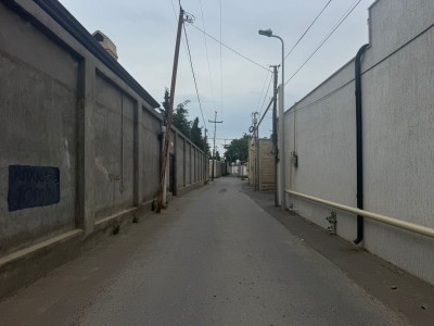 image 378241