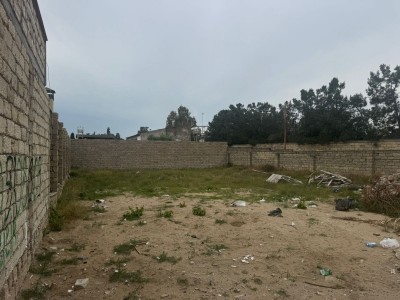 image 378241