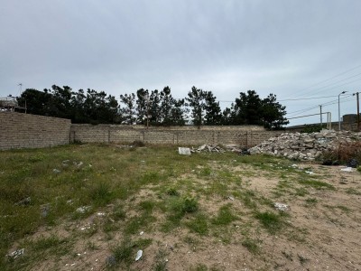 image 378241