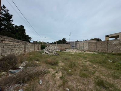image 378241