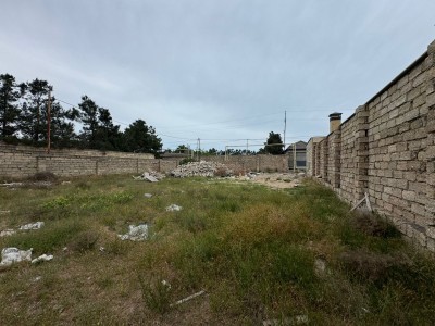 image 378241