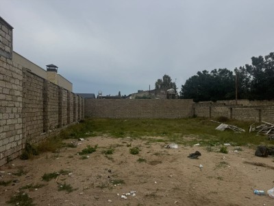 image 378241