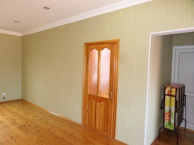 image 378245