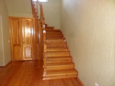 image 378245