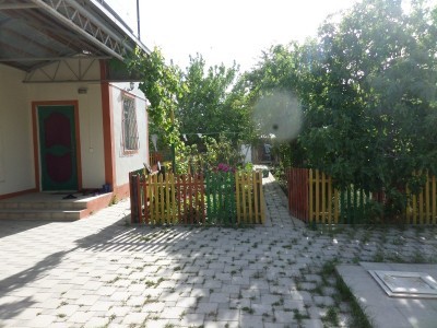 image 378245
