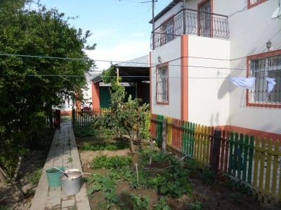 image 378245