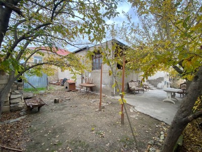 image 378246