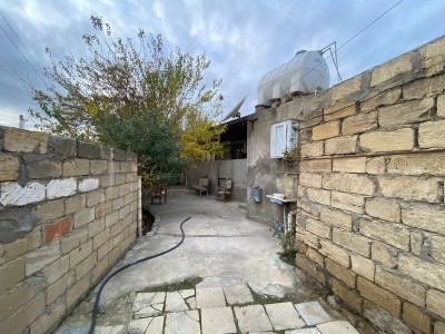 image 378246