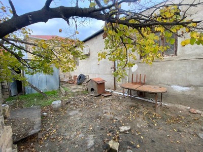 image 378246