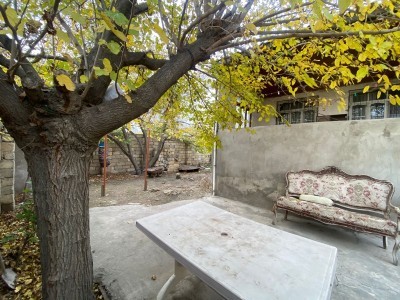image 378246