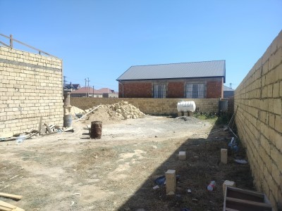 image 378254
