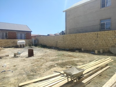 image 378254