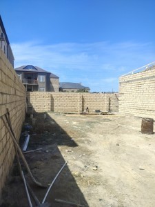 image 378254