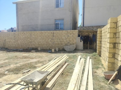 image 378254