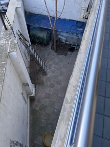 image 378259