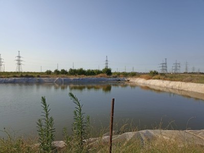 image 378263