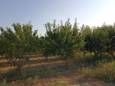 image 378263