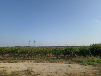 image 378263