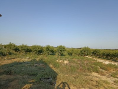 image 378263