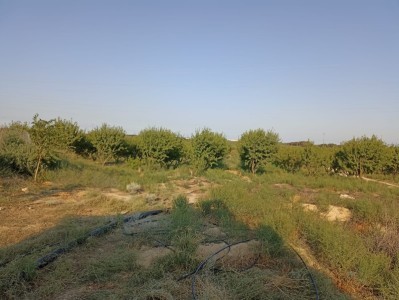 image 378263