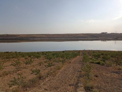 image 378263