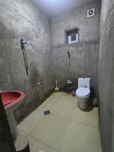 image 378265
