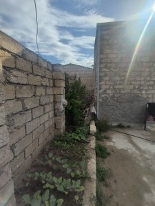 image 378265