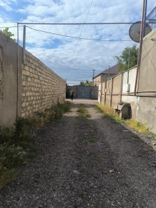 image 378265